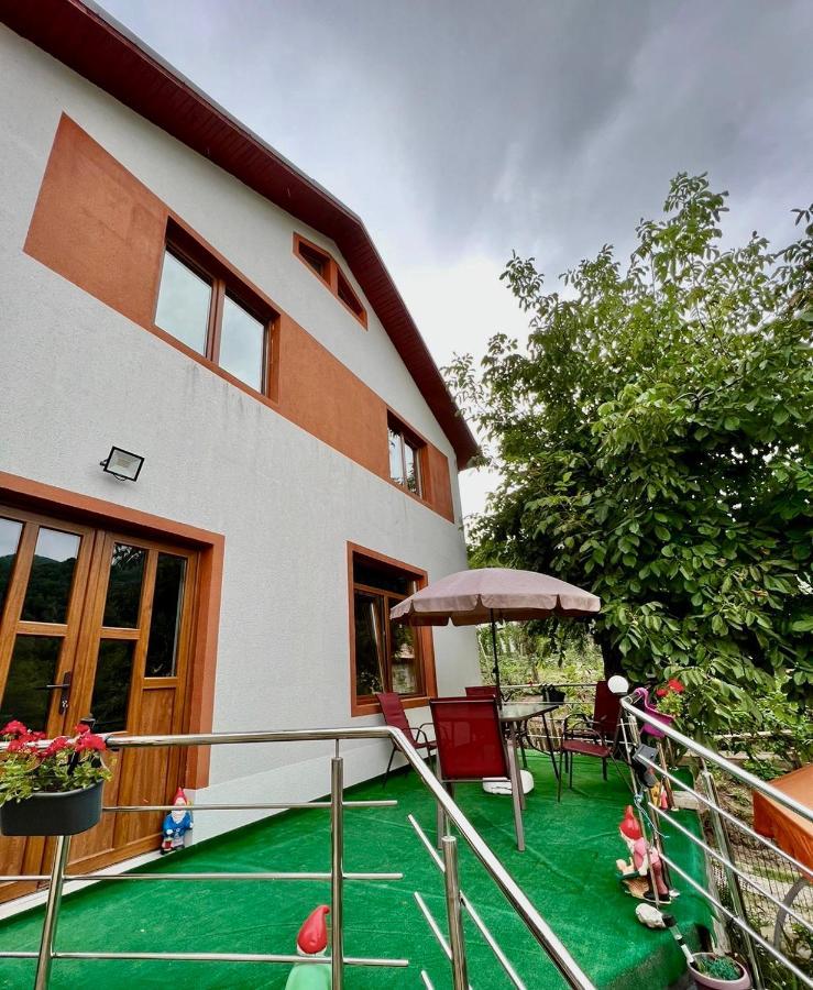 Casa Camelia Villa Nehoiu Eksteriør bilde
