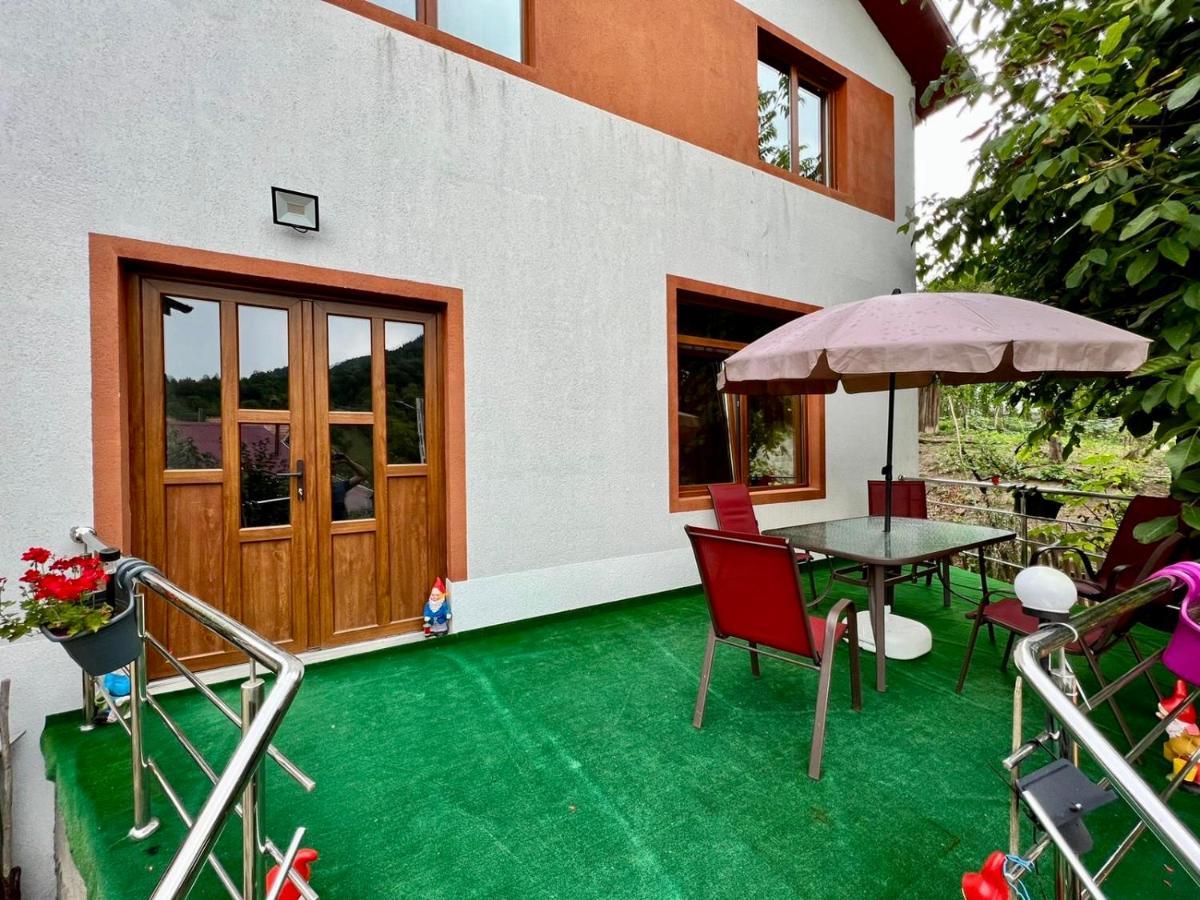Casa Camelia Villa Nehoiu Eksteriør bilde
