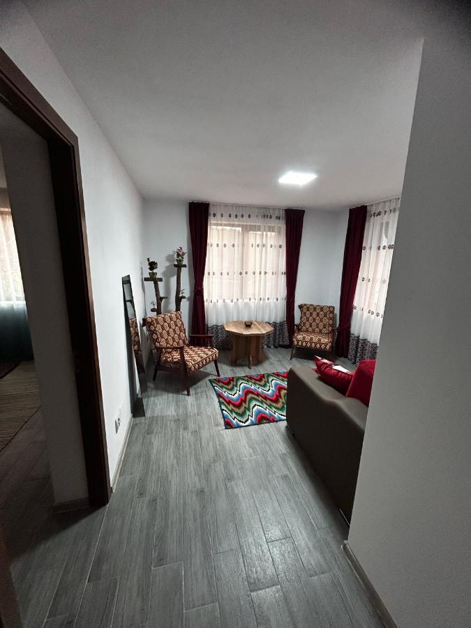 Casa Camelia Villa Nehoiu Eksteriør bilde