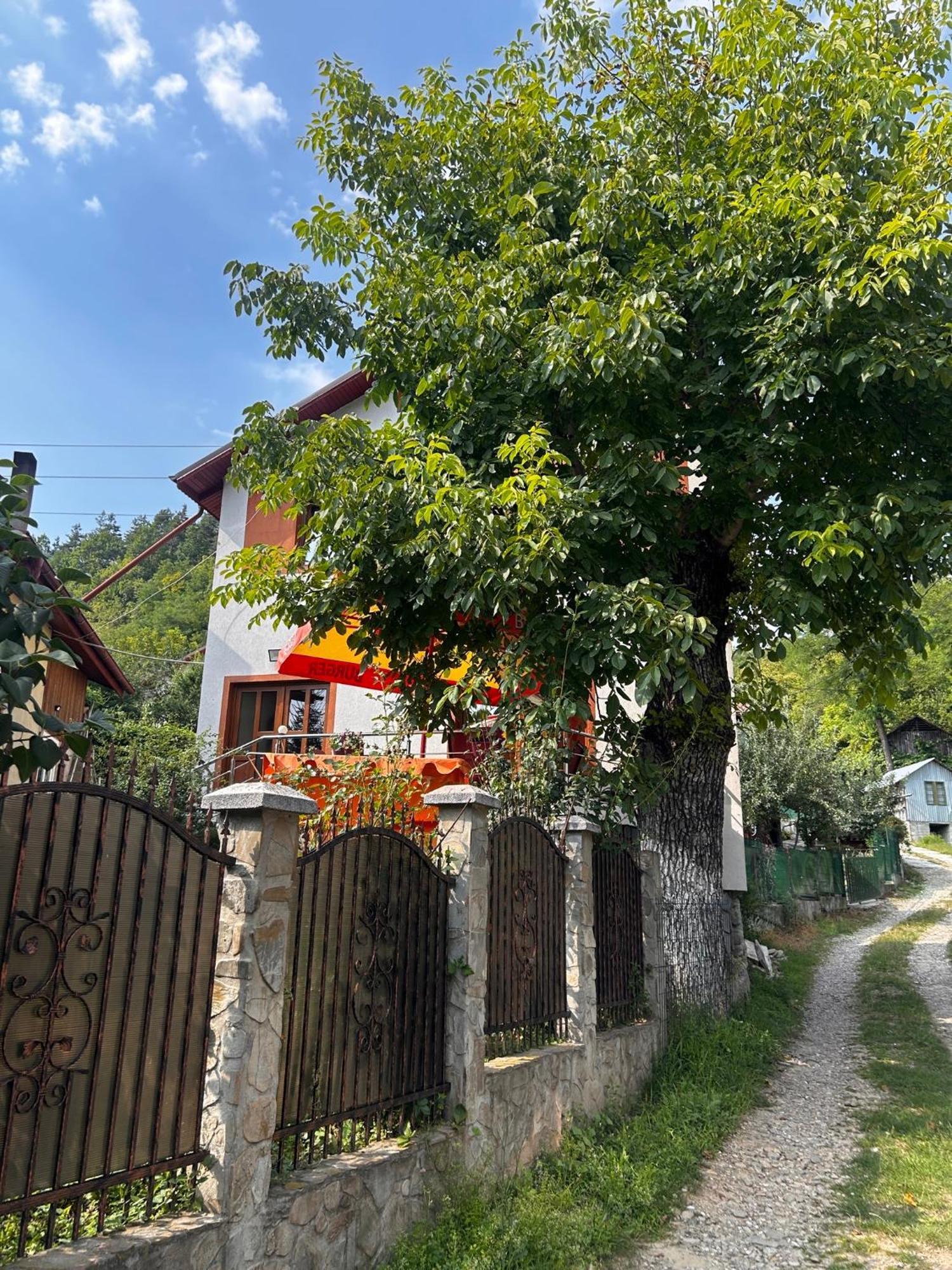 Casa Camelia Villa Nehoiu Eksteriør bilde