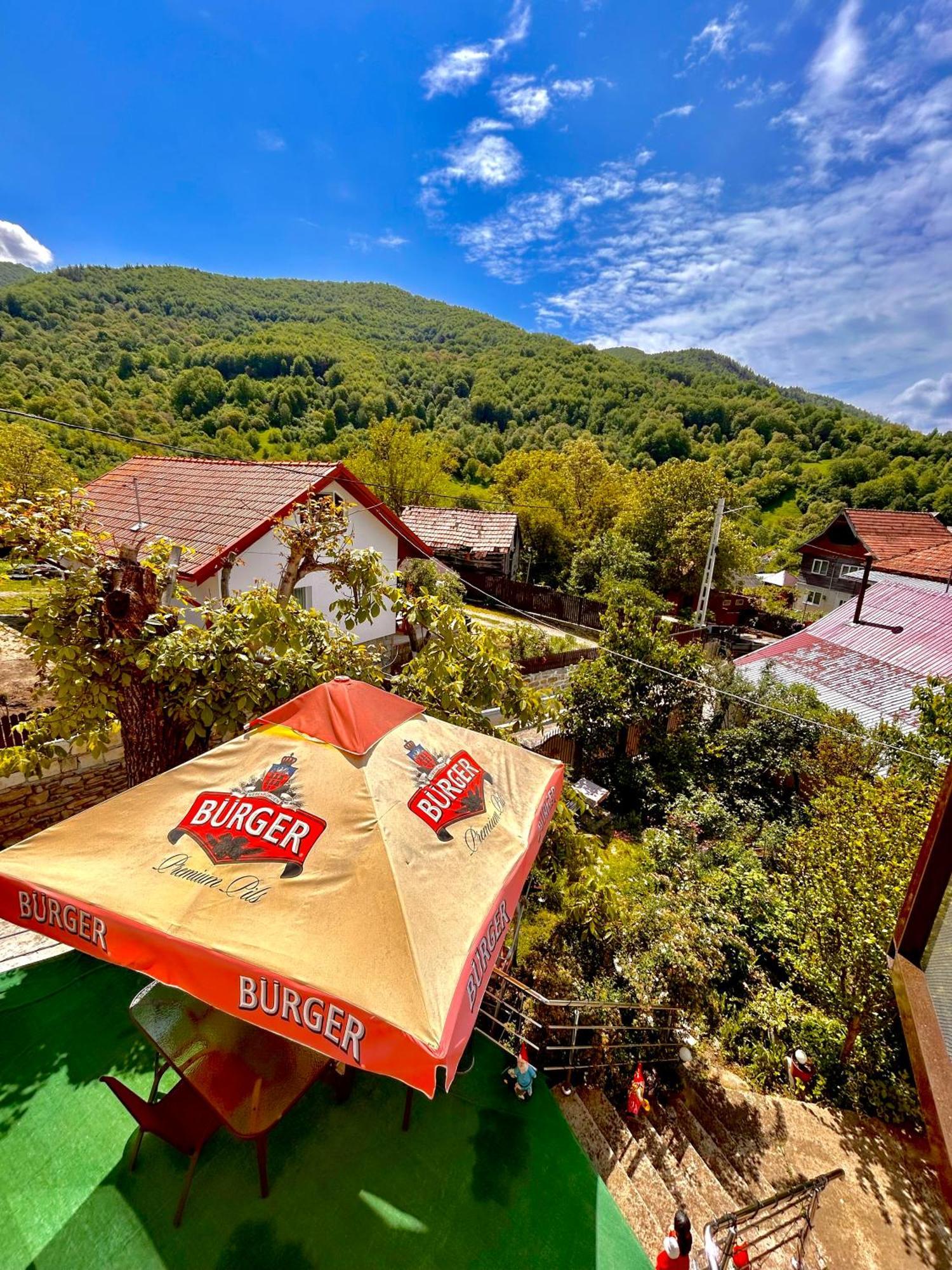 Casa Camelia Villa Nehoiu Eksteriør bilde